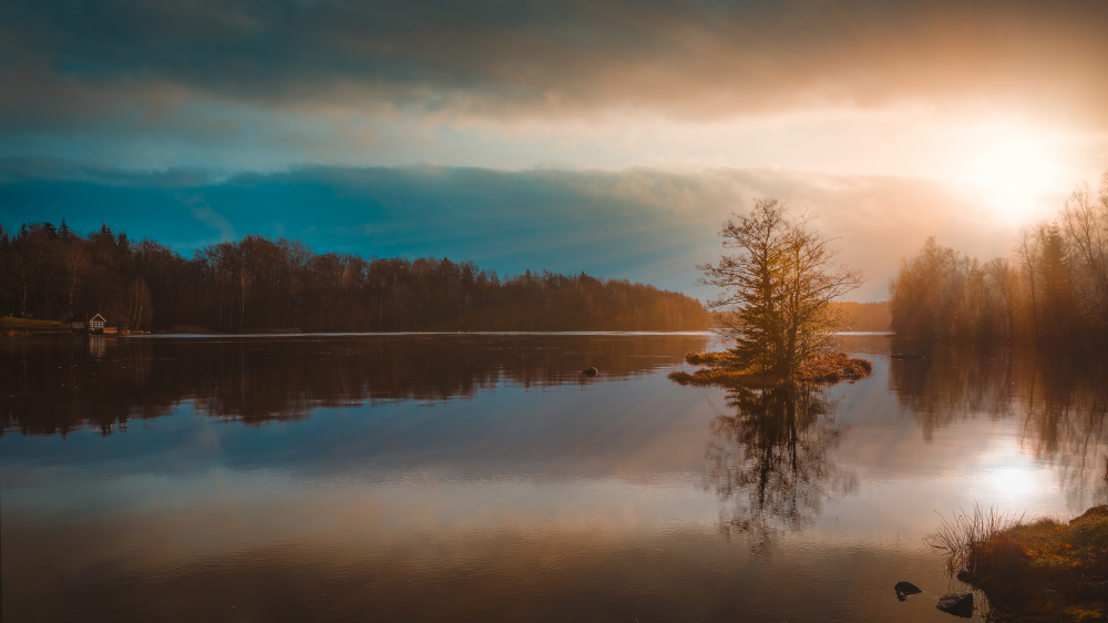 Flowing Wonders painting ideas 